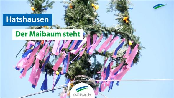 Der Maibaum in Hatshausen steht - Traditionen in Ostfriesland