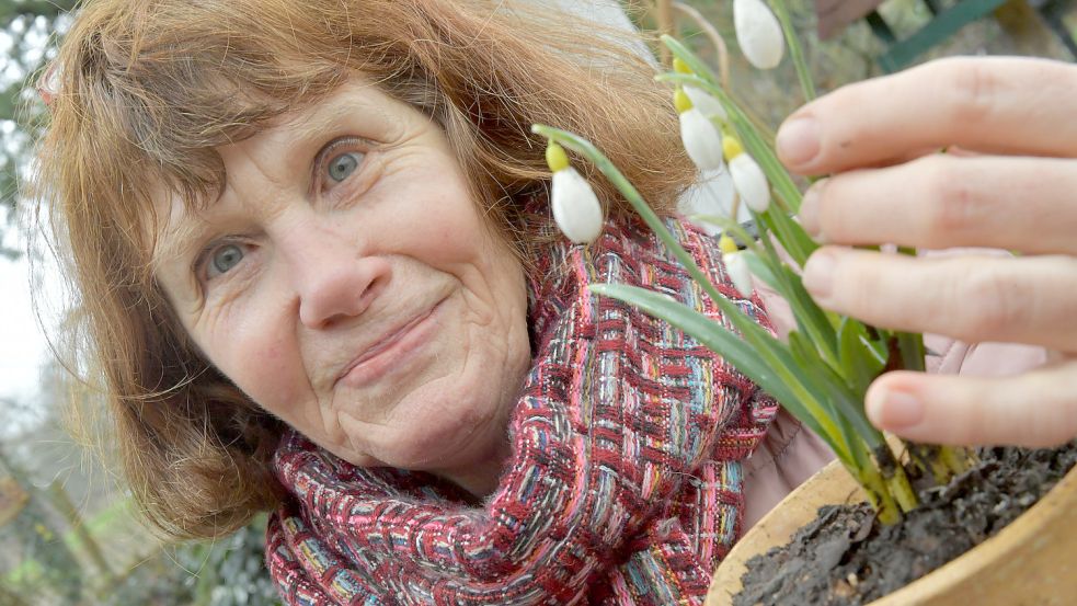 Brigitte Knospe-Carstens kennt sich mit Schneeglöckchen aus. Hier zeigt sie die Sorte Galanthus plicatus „Primrose Warburg“, die aus England stammt. Foto: Ortgies