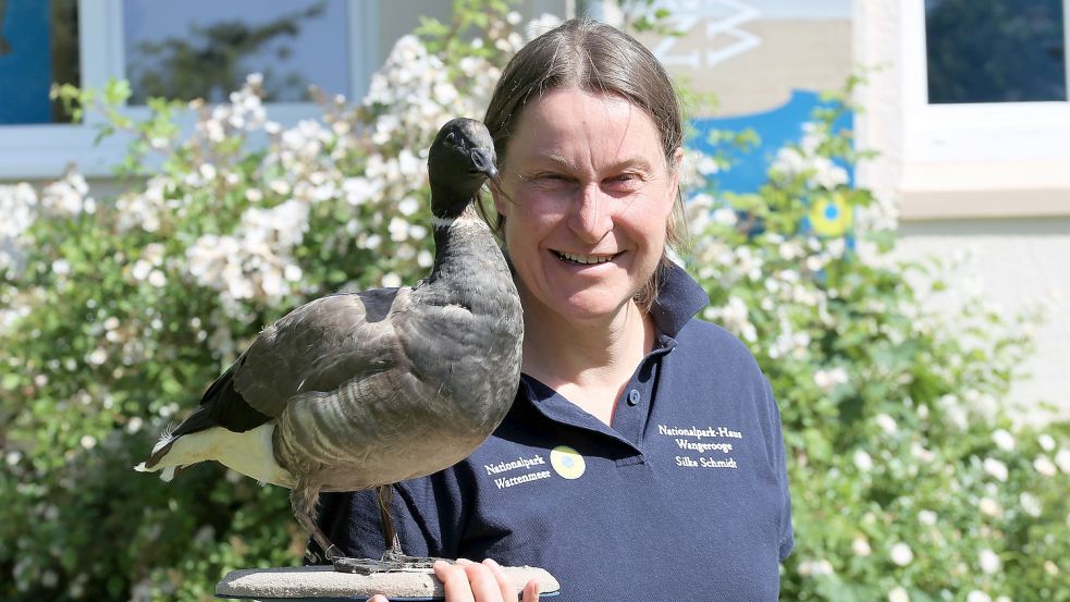 Seit etwa 20 Jahren leitet Silke Schmidt das Nationalparkhaus der Insel Wangerooge und präsentiert eines der im Haus vorgestellten Tiere, eine Ringelgans. Foto: Böning