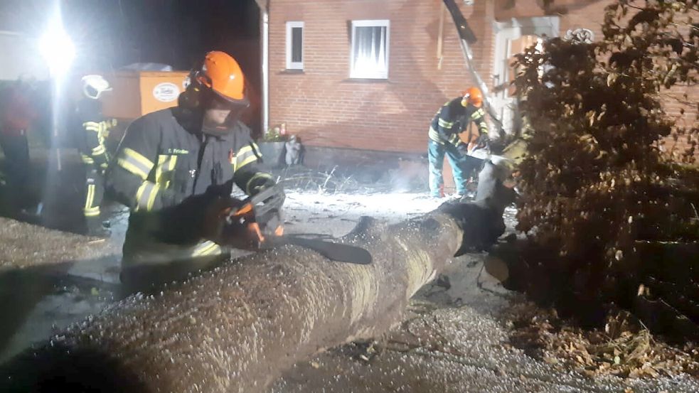 Der Baum in Sandhorst wurde von den Einsatzkräften zerlegt. Foto: Leerhoff/Freiwillige Feuerwehr Aurich