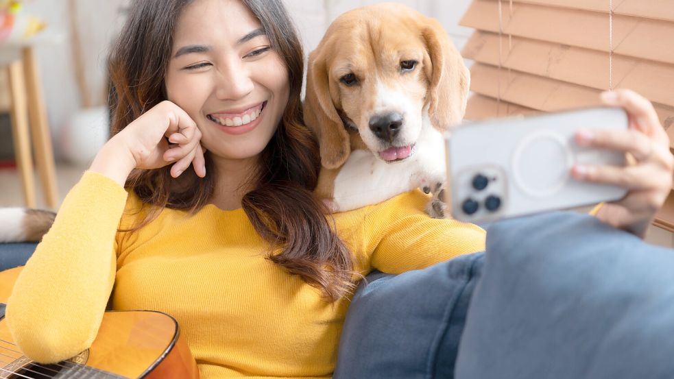 Selfie mit Beagle: Hunde sind treue Hausgenossen. In vielen Redewendungen spielen sie die Hauptrolle. Foto: IMAGO/Zoonar