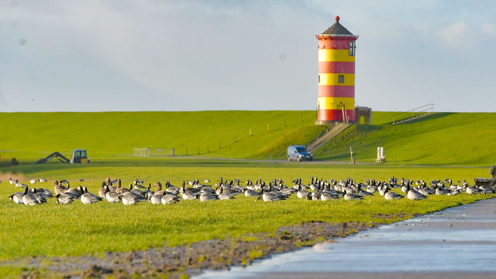 Schön ist es in der Krummhörn, hier am Pilsumer Leuchtturm. Das finden offensichtlich auch Einwohner der Nachbargemeinde: Sie fügten ihr Dorf in die Krummhörn ein. Foto: Ortgies/Archiv