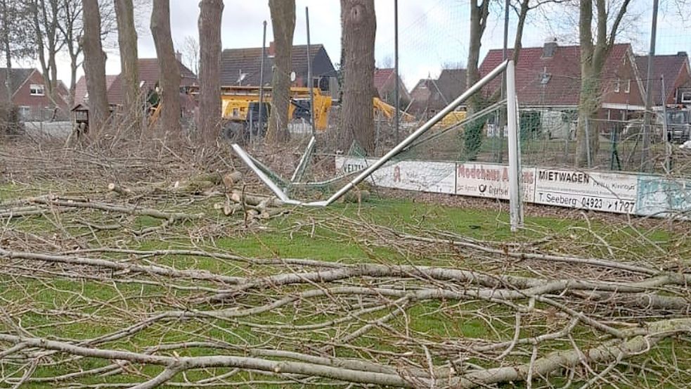 Ein Tor war nach den Baumfällarbeiten in Visquard komplett zerstört. Foto: Eeten