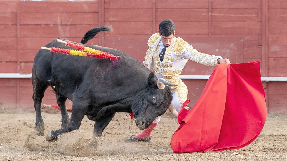 Im südspanischen Andalusien, in Zentralspanien oder auch in der Mittelmeerregion Valencia gehören Stierkämpfe und Stiertreiben immer noch zu vielen Volksfesten. Foto: Imago images/Zuma Wire/Oscar Manuel Sanchez