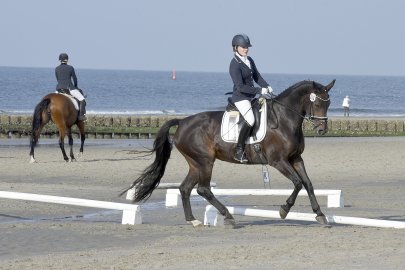 Reitturnier auf Norderney - Bild 2