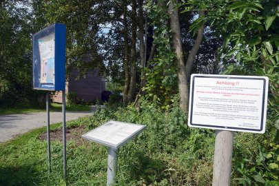 Plan gegen Blaualgen-Plage im Uphuser Meer - Bild 2