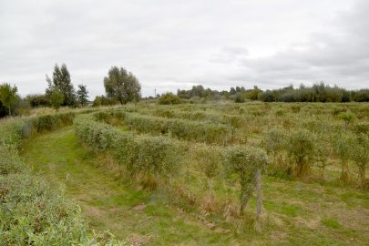 Labyrinth und Barfußpfad sind fertig - Bild 2