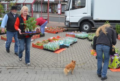 Blumenmarkt in Wiesmoor - Bild 3