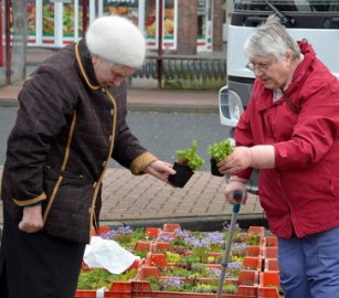 Blumenmarkt in Wiesmoor - Bild 4