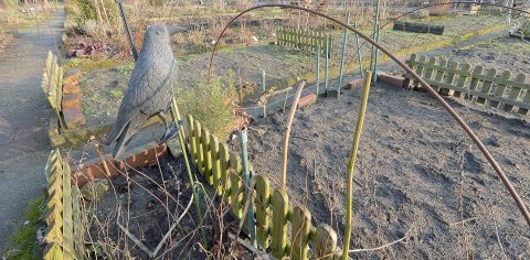 Stiftung hat Ernst Pagels' Garten verkauft - Bild 3