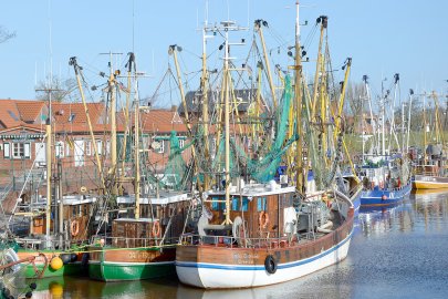 Tourismus in der Krummhörn - Bild 2