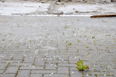 Sorgen wegen Planung für Toom-Gelände in Wittmund - Bild 2