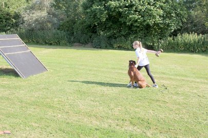 Mia Felsmann steht als Hundeführerin auf dem Platz - Bild 2