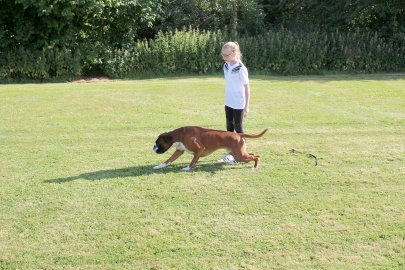 Mia Felsmann steht als Hundeführerin auf dem Platz - Bild 3