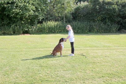 Mia Felsmann steht als Hundeführerin auf dem Platz - Bild 4