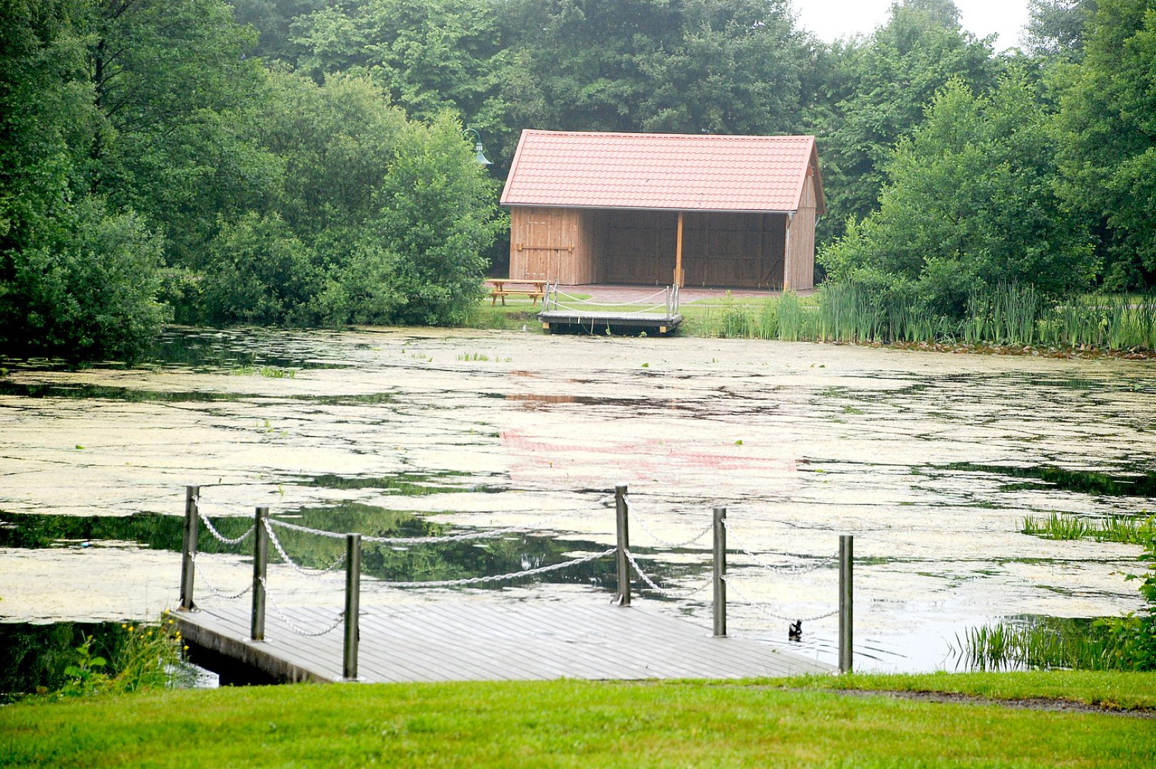 Hollen: Arbeiten am Dorfteich - Bild 1