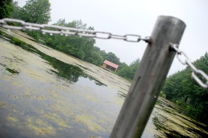 Hollen: Arbeiten am Dorfteich - Bild 4