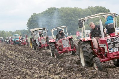 15. historische Feldtage in Rechtsupweg - Bild 3