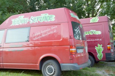 Grünes Gold in Ostfriesland - Bild 4
