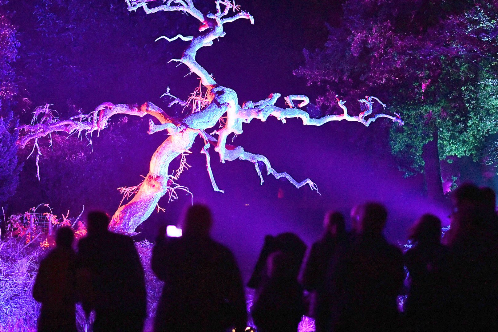 Lichterschau kehrt nach Schloss Lütetsburg zurück - Bild 1