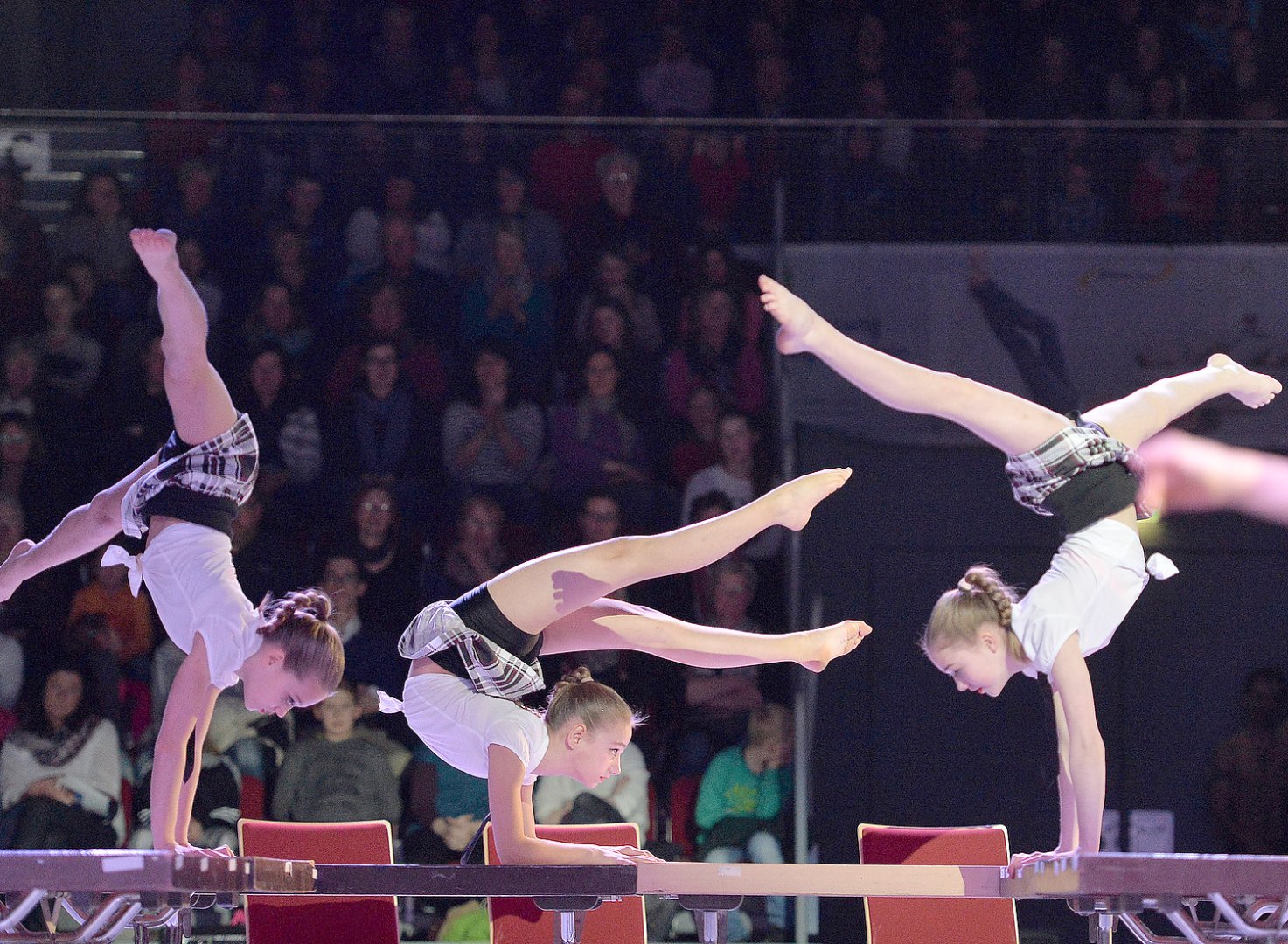 Ostfriesische Turnshow am 24. Februar - Bild 1