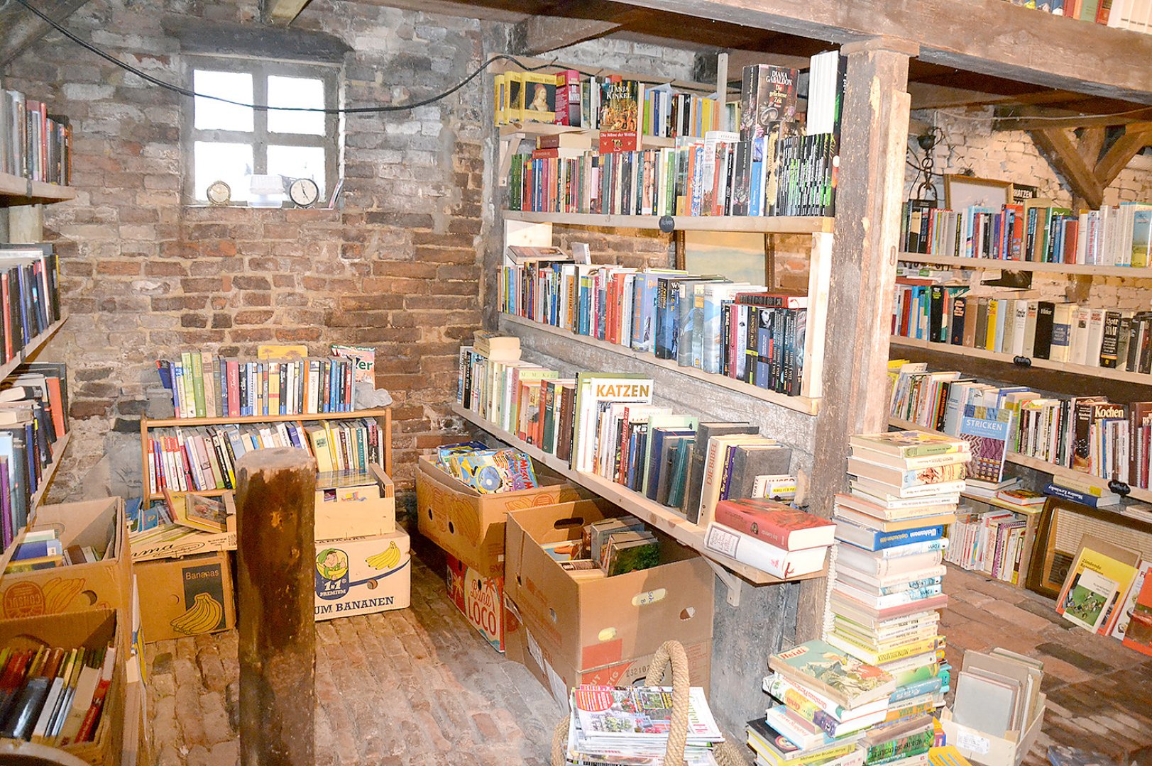 Streunerkatzen Rheiderland eröffnen Bücherscheune - Bild 1