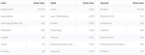 50 000 Facebook-Likes - Bild 4