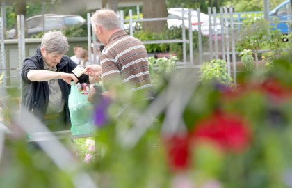 Blumenmarkt in Wiesmoor gehört zum Muttertag - Bild 2