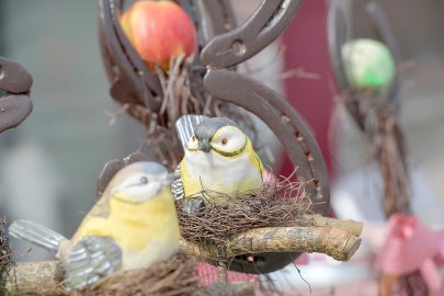 Blumenmarkt in Wiesmoor gehört zum Muttertag - Bild 3