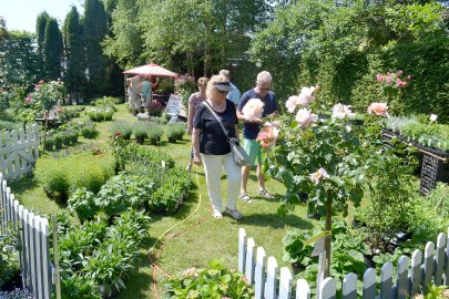 Landpartie in Moormerland - Bild 3