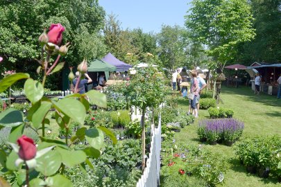Landpartie in Moormerland - Bild 4