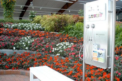 Eisstockschießen in der Blumenhalle Wiesmoor - Bild 2