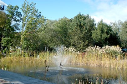 Eisstockschießen in der Blumenhalle Wiesmoor - Bild 4