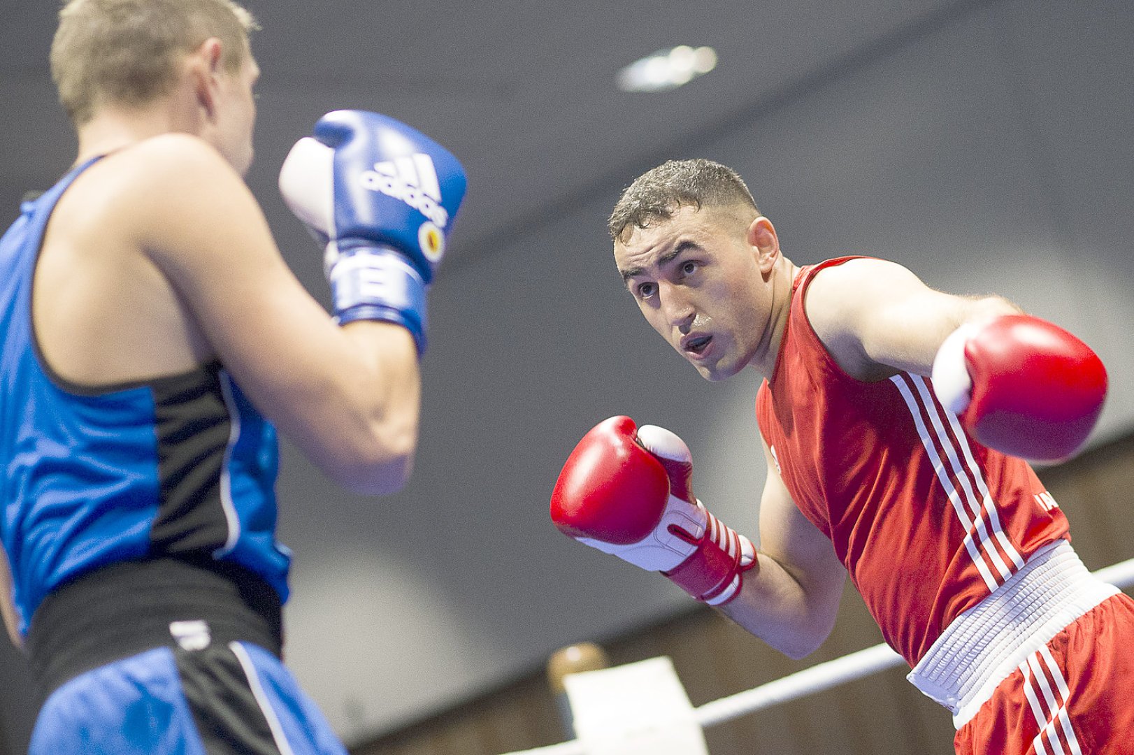 Norder Boxer fährt zur DM - Bild 1