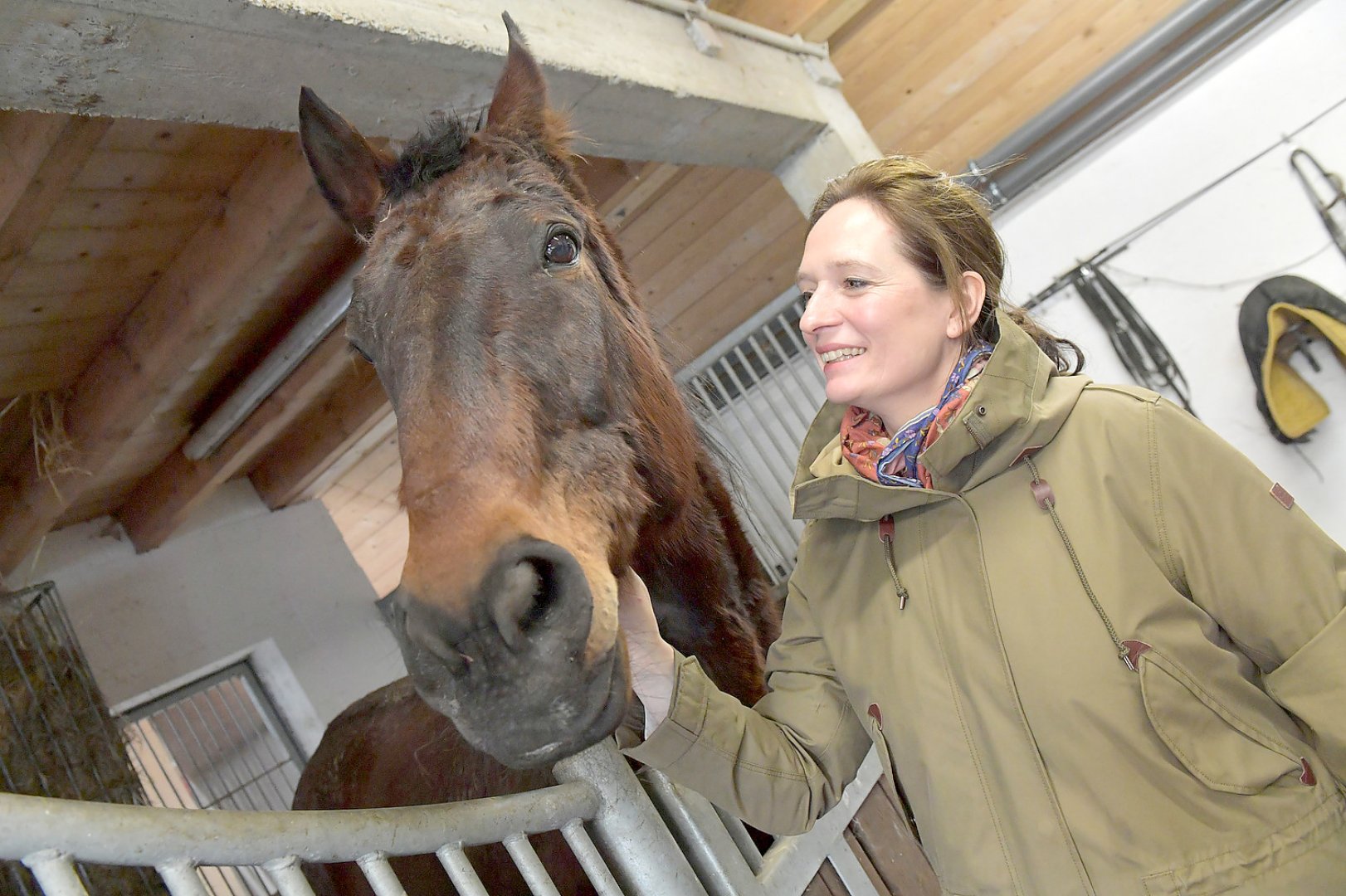 "Schöner Wohnen" mit Esel und Rind - Bild 1