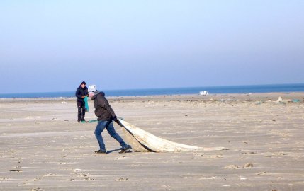 Paddler sammeln Müll auf Juist - Bild 3