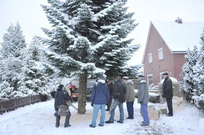 Weihnachtsbaum als Geschenk für die Niederlande - Bild 3