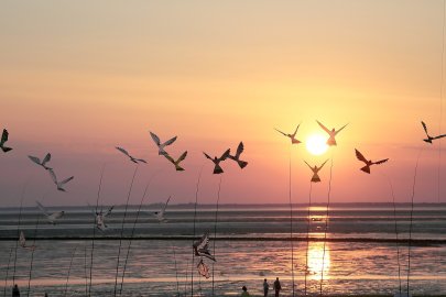 Drachenfest in Norddeich - Bild 4