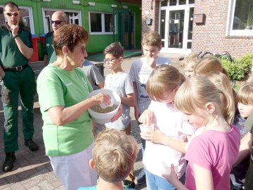 Grundschule am Fehnkanal erblühlt - Bild 3