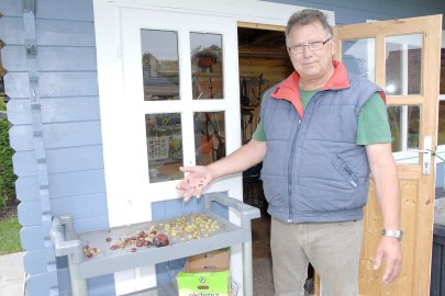 Schwerinsdorf: Wolfgang Werberichs Wespenstaat - Bild 2