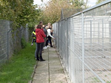 Tag der offenen Tür im Tierheim Stapelmoor - Bild 2