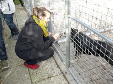 Tag der offenen Tür im Tierheim Stapelmoor - Bild 3