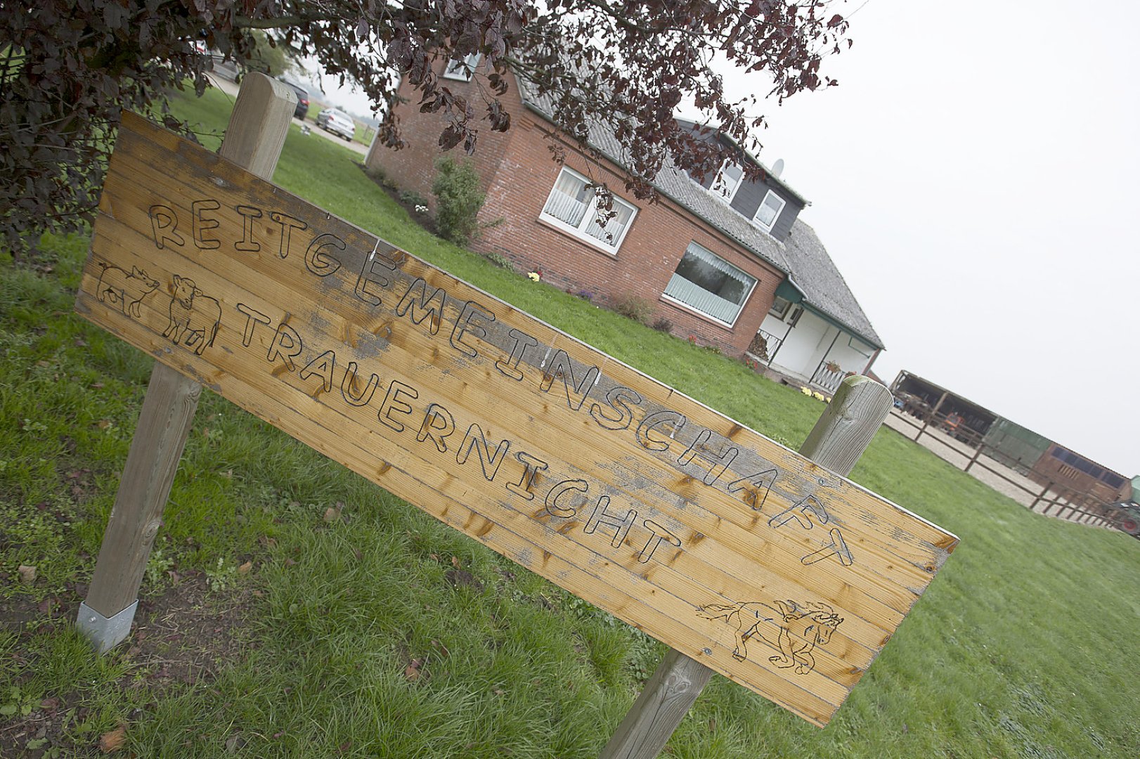 Uttumer Pferdehofbesitzer Burkhard Trauernicht hat es voll erwischt - Bild 1