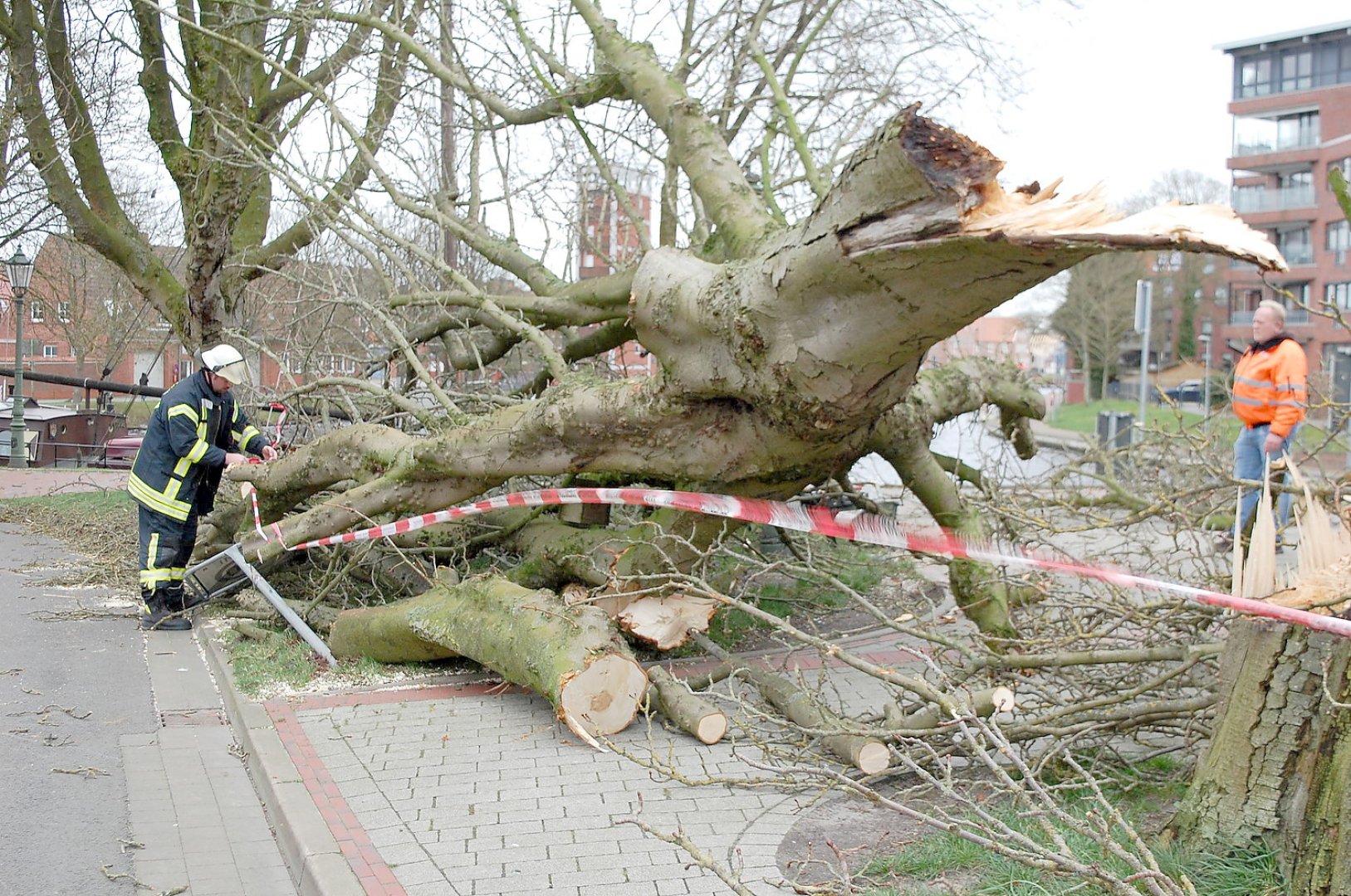 "Sabine" fegte über Ostfriesland - Bild 1