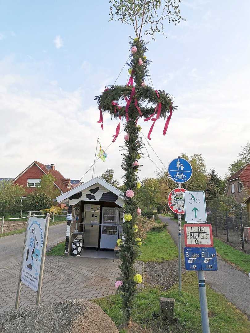 Ostfriesen zeigen ihre Maibäume - Bild 6