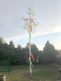 Ostfriesen zeigen ihre Maibäume - Bild 10