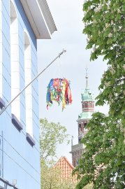Ostfriesen zeigen ihre Maibäume - Bild 16