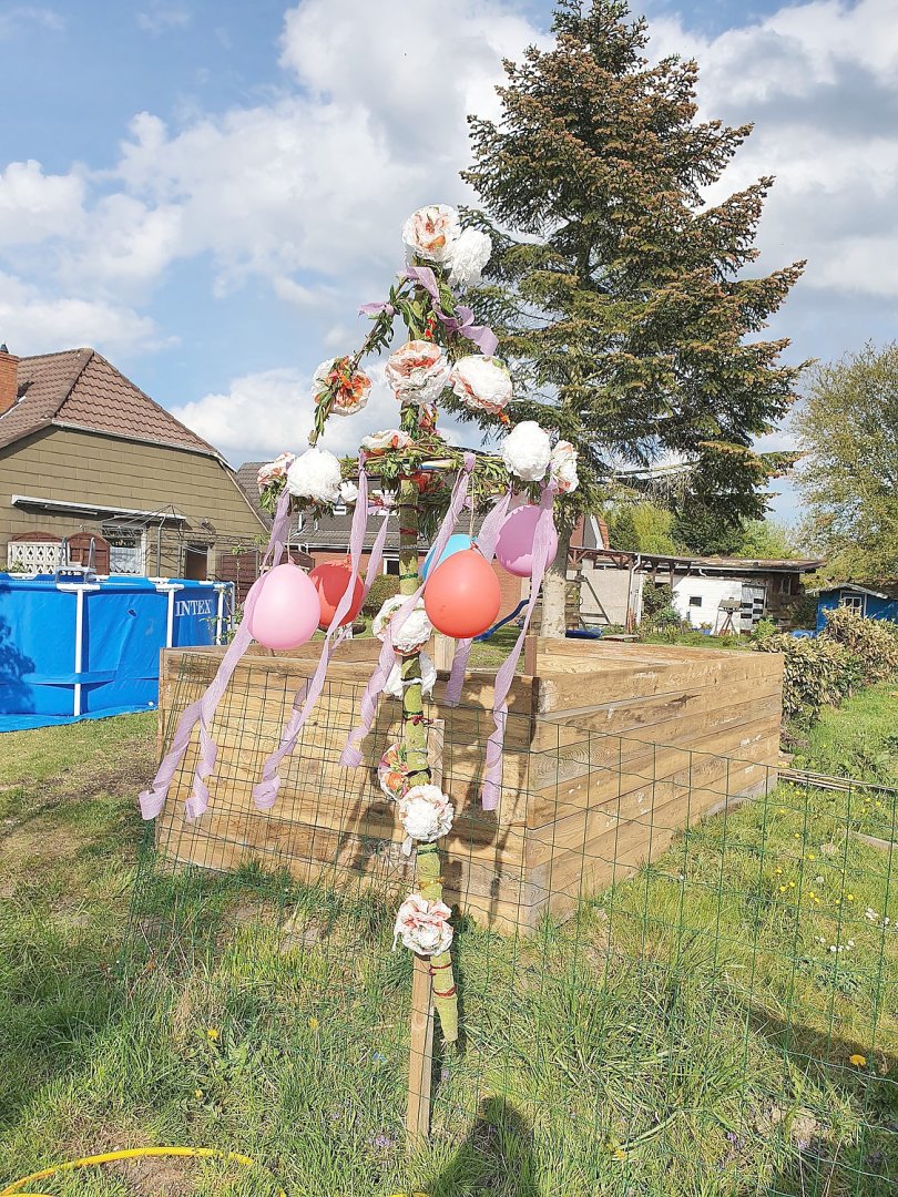 Ostfriesen zeigen ihre Maibäume - Bild 30