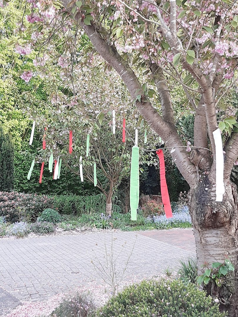 Ostfriesen zeigen ihre Maibäume - Bild 39