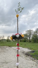 Ostfriesen zeigen ihre Maibäume - Bild 49